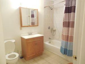 bathroom1_01